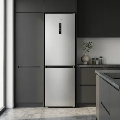 Refrigerator GORENJE NRK619FAS4