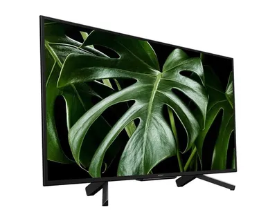 TV Sony 43 KDL43WG665BR