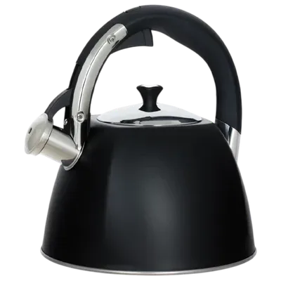 Kettle REGENT 93-TEA-31
