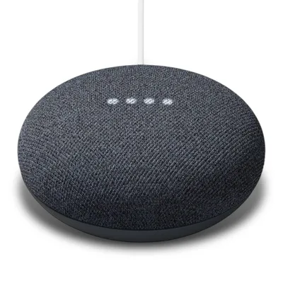 Nest Mini Smart Speaker