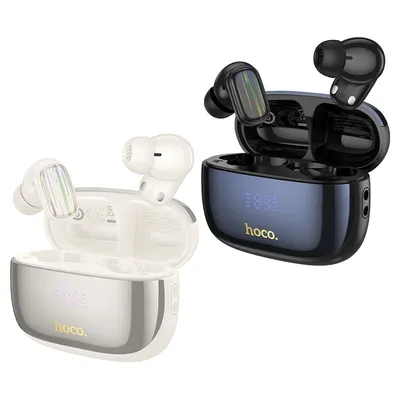 Wireless earbuds Hoco EQ20