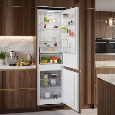 Refrigerator built in AEG TCTCS191ES