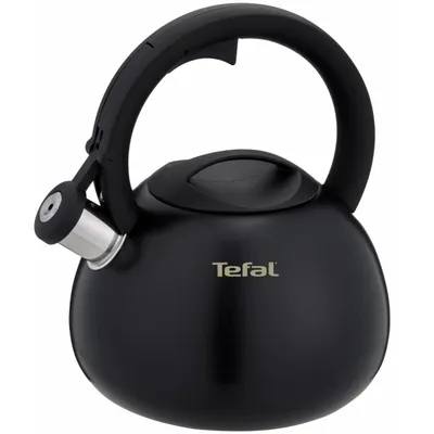 Electric kettle Tefal N4180410 2.5l