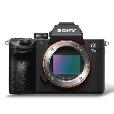 A7 III Body